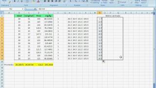 Matriz de varianzas y covarianzas Variance covariance matrix Excel [upl. by Maryanne400]