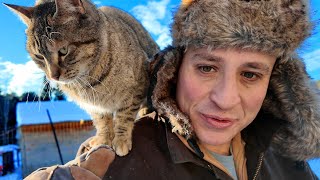 Cold Weather Cat Farming For Fun AND Profit [upl. by Aihtak344]