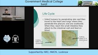 Ancylostoma Duodenale and Necator Americanus by Dr Alpa Patel Microbiology Dept GMCS [upl. by Goldi]