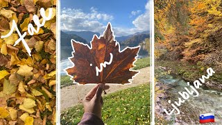 FALL IN SLOVENIA Lake Bled bookstores yummy food amp beautiful leaves 🍁 CC [upl. by Leryt]