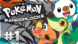 EL MEJOR COMIENZO DE SERIE JAMÁS VISTO 😱  POKEMON NEGRO RANDOMLOCKE Ep1  Serie HARDY [upl. by Piper713]