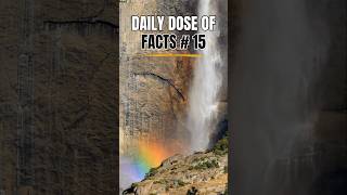 The Daily Dose of Facts 15 facts [upl. by Drona]