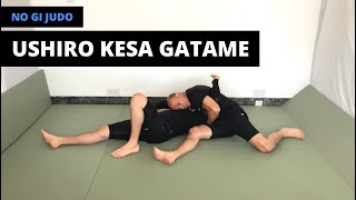 No Gi Judo  後袈裟固  Ushiro Kesa Gatame Reverse scarf hold [upl. by Naasah]