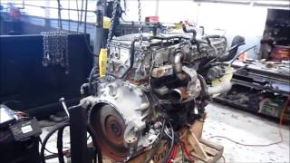 2015 Detroit Diesel DD13 Running [upl. by Boarer]