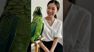 A beautiful Parrot with me birds parrot [upl. by Ellirehs]