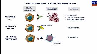 Colloque quotAvancées spectaculaires en immunothérapie cibléequot intervention du Pr Nicolas Boissel [upl. by Conroy715]