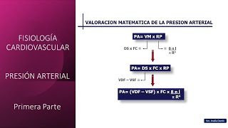 Fisiología Cardiovascular Presión arterial  Primera parte [upl. by Orat448]