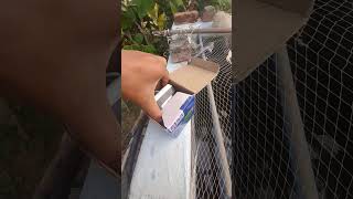 Cooler Pump Unboxing video  cooler water pump price  best pump for cooler  Fish tank air pump [upl. by Anasor]