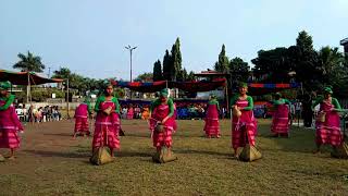 Mech kachari dance Purana bazar cultural tropes performed Jakhoi dance in Magh utsav 2018 [upl. by Lumbard]