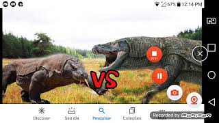 Komodo Dragon VS Megalania [upl. by Madelon148]