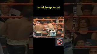 El increíble Uppercut de Rafael Márquez Hermqno de Juan Manuel Márquez [upl. by Eltsyrhc540]