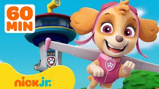 PAW Patrol Skyes BEST Lookout Tower Rescues w Marshall amp Skye  1 Hour Compilation  Nick Jr [upl. by Valda235]