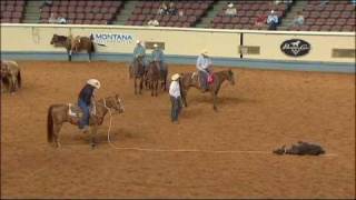 Zans Even Parr  CR Bradley  Sr Tie Down Roping  2010 Battle in the Saddle [upl. by Imray503]