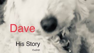 His Story  Dave [upl. by Akemihs]