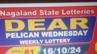 Nagaland Lottery Result Today [upl. by Whitaker]