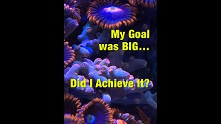 My Goal was BIG… Did I Achieve It [upl. by Pacien717]