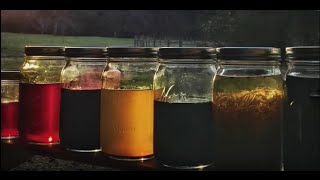 Infusing Oils with Herbs and Spices for Use in Cold Process Soap Making [upl. by Joelly627]