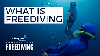 What Is Freediving  The Beginners Guide To Freediving [upl. by Owiat230]