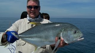 Dundee Beach light tackle mayhem Anglers Choice [upl. by Suellen421]