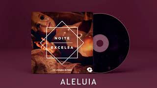 Aleluia  CD Noite Excelsa VOL1 [upl. by Anelra]