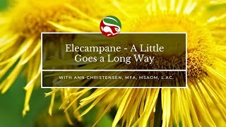 Elecampane  A Little Goes a Long Way [upl. by Avevoneg]