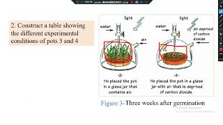 grade5scienceschp1exp3 [upl. by Marlie]