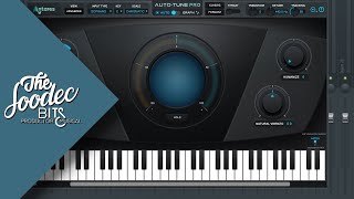 CÓMO CONFIGURAR AUTOTUNE CORRECTAMENTE [upl. by Nnaeerb]