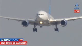 LIVE Airplane Landing at LAX with NO WHEEL [upl. by Anwahsat]