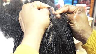 A Day in the Salon Micro Braids with Natural Virgin Hair [upl. by Enomar]