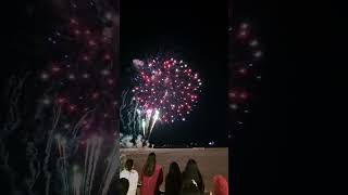 New York City Coney Island Brooklyn Fireworks love shorts [upl. by Eisak]