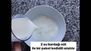 5 DAKİKA DA KEDİDİLLİ PASTA 🍰  KEDİDİLİ PASTA TARİFİ [upl. by Rotsen]