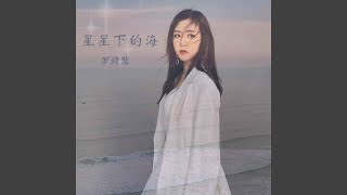 星星下的海 粤语版伴奏 [upl. by Aleel]