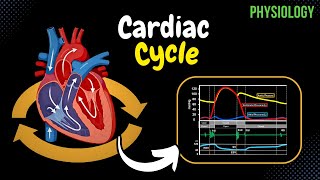 Cardiac Cycle PressureGraph Visually Explained  Heart Physiology [upl. by Roarke715]