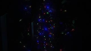 My house Christmas Tree 🎄 christmas shorts automobile [upl. by Wester]