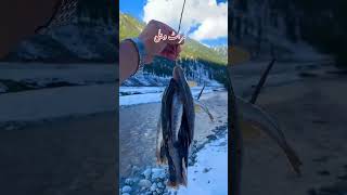 Trout fish kumratvalley nature food foodlover [upl. by Krutz]