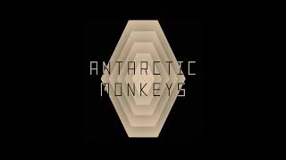 Antarctic Monkeys Promotional Video [upl. by Tacita298]