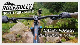 Dalby Forest  Red and Black Trails  North York Moors Mountain Biking [upl. by Kcinimod]