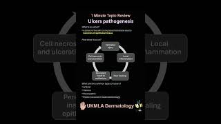 Ulcer pathogenesis and arterial ulcers dermatology medicaleducation [upl. by Florida561]