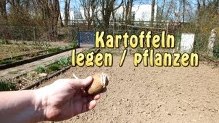 Kartoffeln legen 2013 [upl. by Neffets]