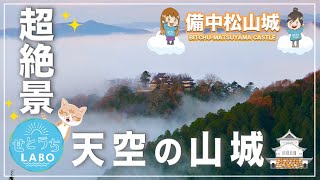 【天空の城】備中松山城の雲海を見に行ってきました【超絶景】 [upl. by Ekud433]