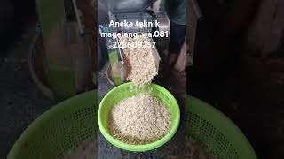 Mesin giling pisah kulit Ari kedelai produksi aneka teknik Magelangwa081228609257 [upl. by Cima]