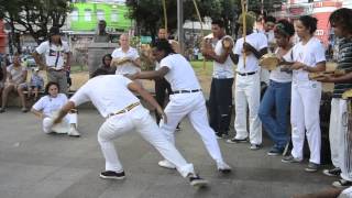 CAPOEIRA ANGOLA DA BAHIA [upl. by Sehcaep626]