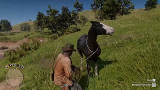 Best Unique Horse  Black Missouri Fox Trotter  RDR2 mod [upl. by Dusty]