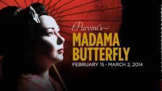 Madama Butterfly [upl. by Divod]