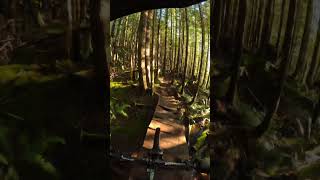 Squamish never disappoints😮‍💨 pov mtb loam dhlaps [upl. by Anav448]