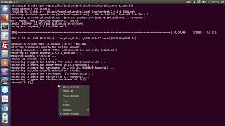 AnyDesk Install Ubuntu Desktop [upl. by Gold]