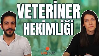 VETERİNER HEKİMLİK  13 Soruda Veteriner Fakültesi [upl. by Notsob]