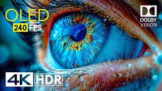 Mind Blowing OLED Dolby Vision  4K HDR 240 fps [upl. by Elvina]