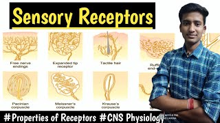 Sensory ReceptorsProperties of Receptors  CNS Physiology LecturesMBBS hindi Ashish [upl. by Neelia490]