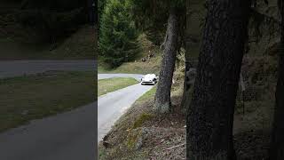 Rallye International du Valais 2024  ES Les Cols valais riv rallye [upl. by Firestone]